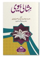 MISAALI BIWI | مثالی بیوی